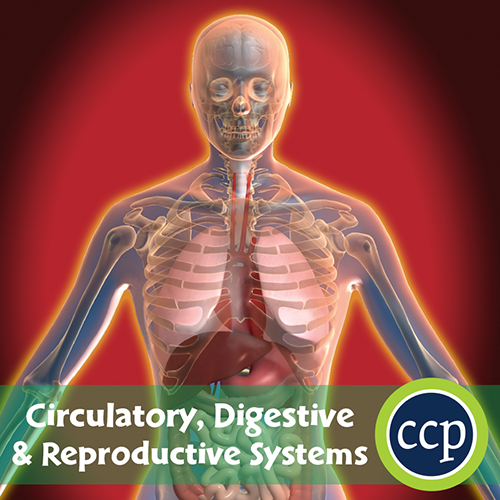 Circulatory, Digestive & Reproductive Systems