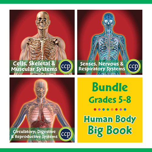 Human Body Big Book