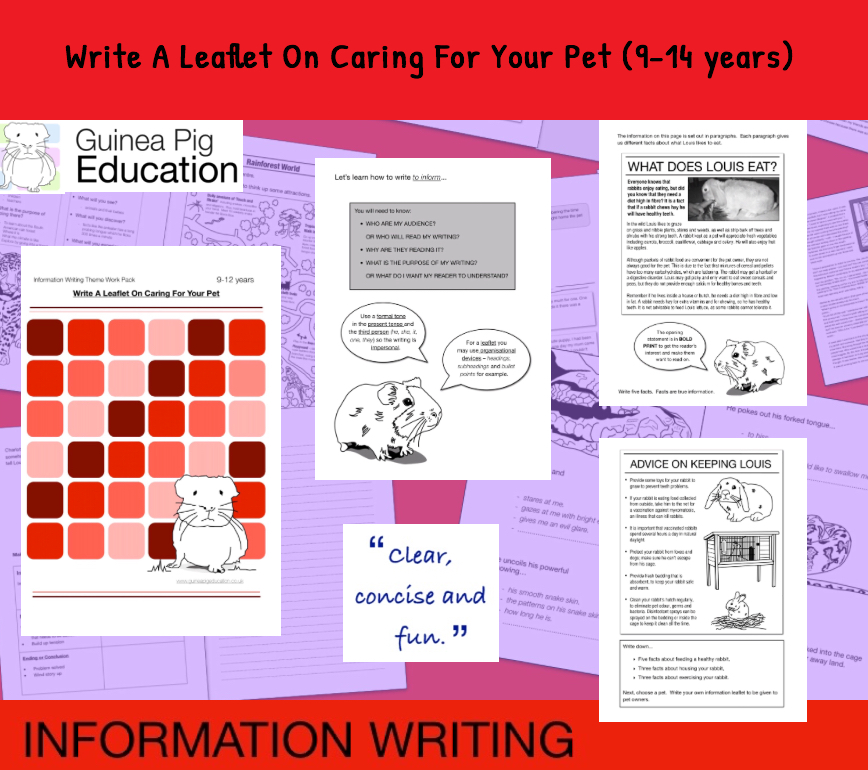 Write A Leaflet On Caring For Your Pet (Information Writing Work Pack) 9-14 years
