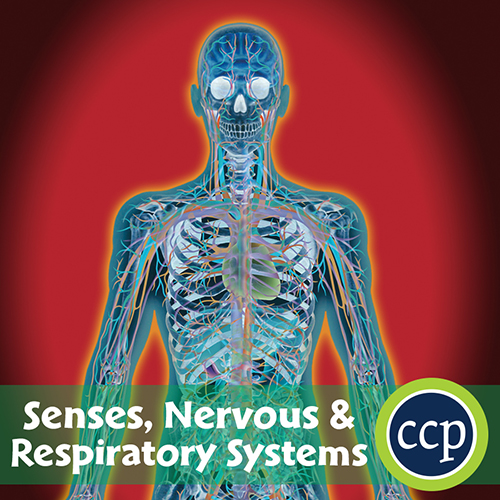 Senses, Nervous & Respiratory Systems