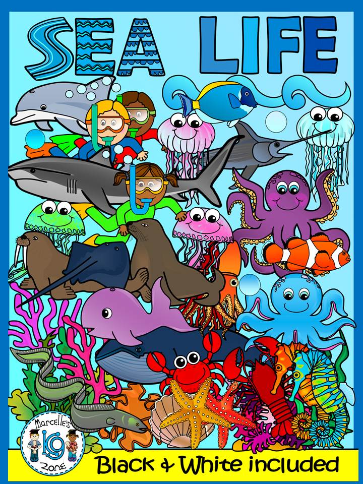 Sea Life, Sea Animals, Ocean Animals Clipart Graphics-162 images-Commercial Use