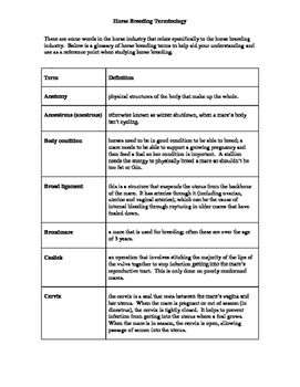 Horse Breeding Terms Mix and Match Activity