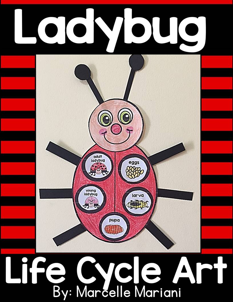 LADYBUG LIFE CYCLE ART ACTIVITY