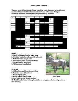 Horse Breeds Activities