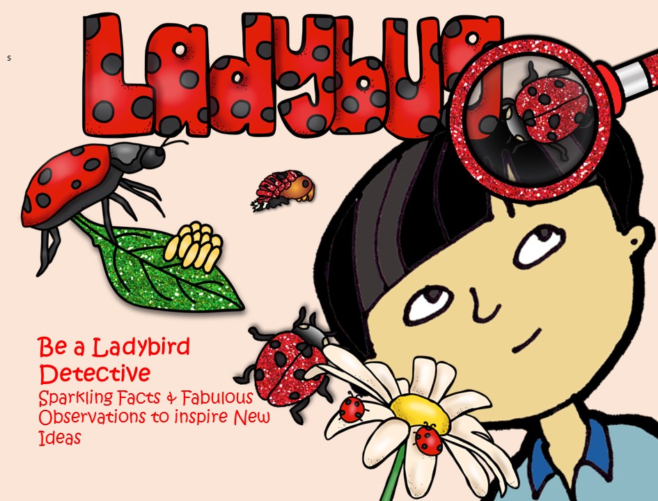 STEM - Be a Ladybird Detective - Life Cycle, Biomimicry, Inspiration for Ideas