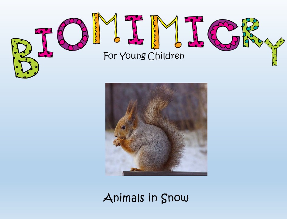 STEM - Biomimicry for Young Children - Animals in Snow