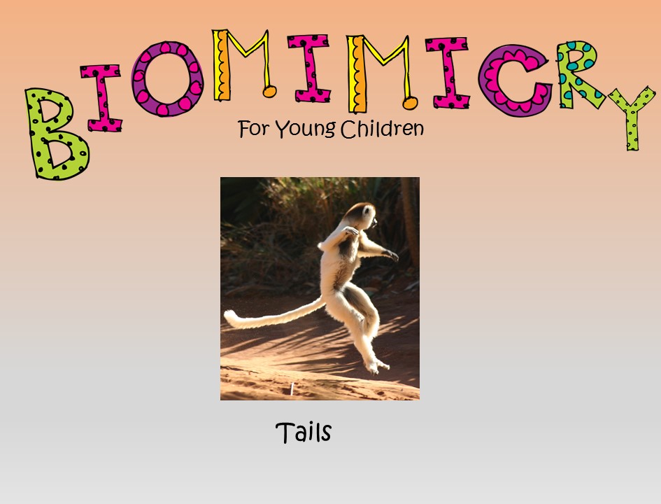 Biomimicry for Young Children - Tails - Montessori Inspired
