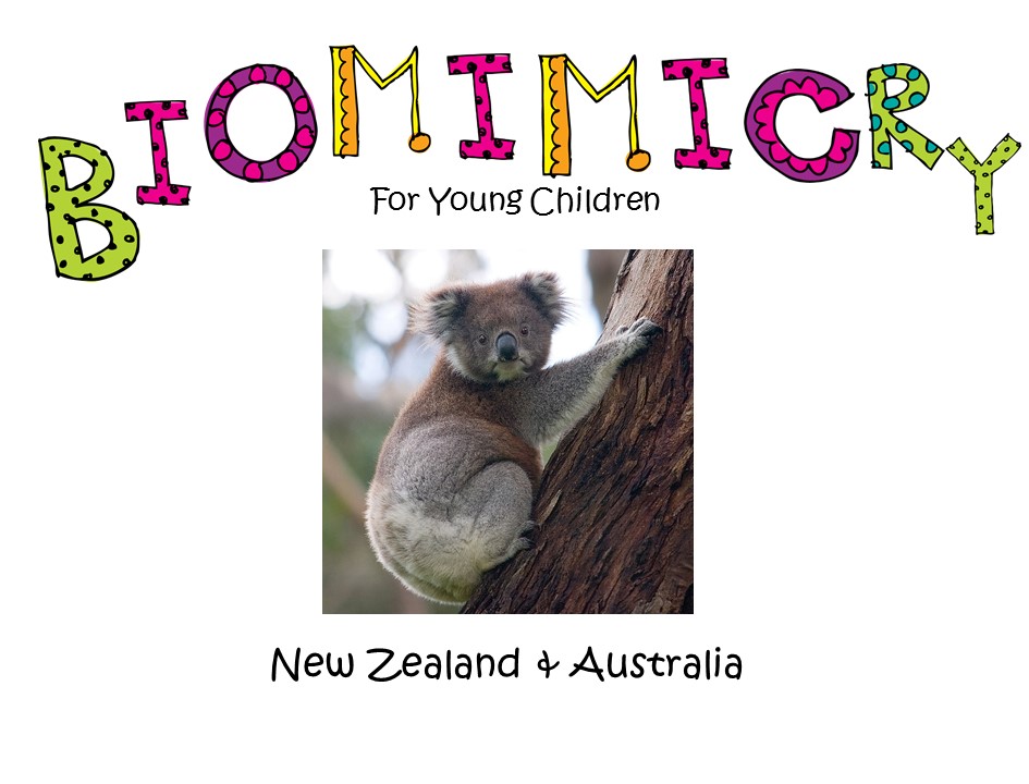 STEM - BIOMIMICRY FOR YOUNG CHILDREN - NEW ZEALAND & AUSTRALIA