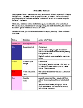 Vital Signs of the Horse Activity