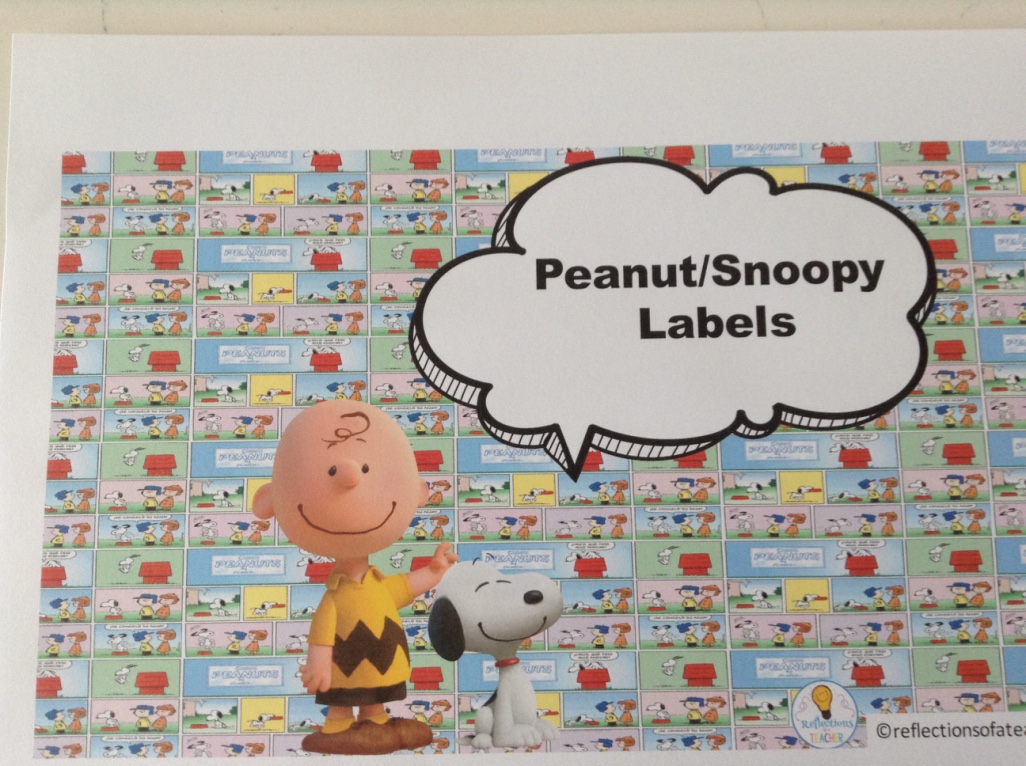 SNOOPY/PEANUT THEME CLASSROOM LABELS