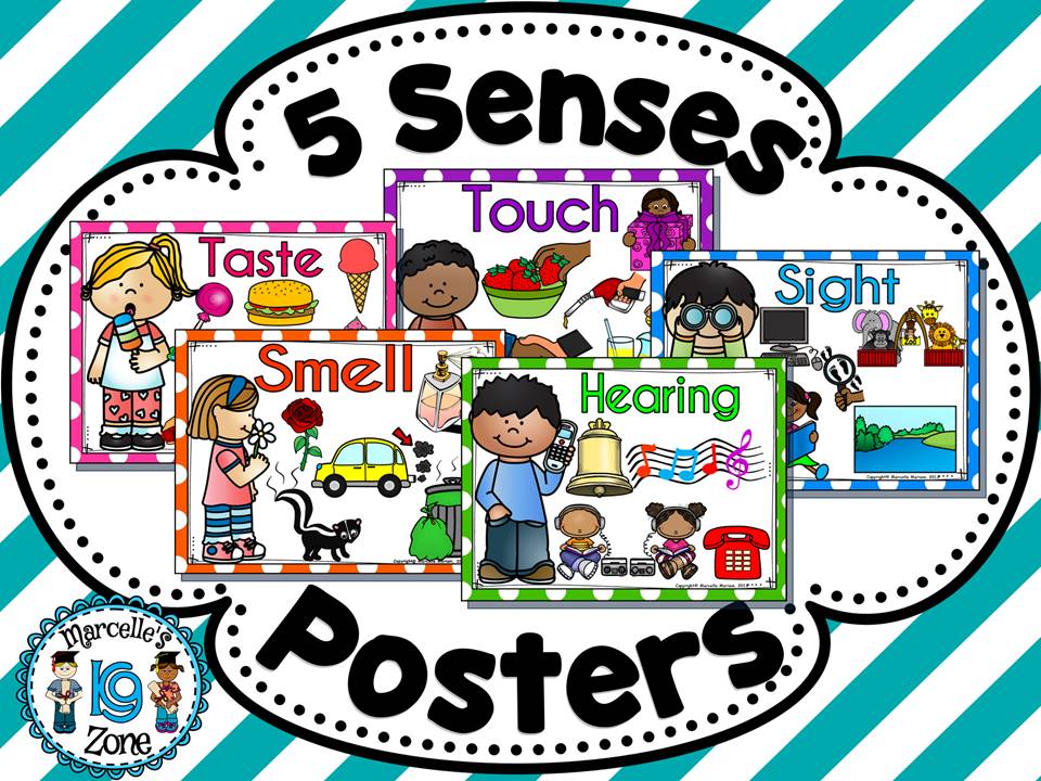 THE FIVE SENSES- POSTERS- VOCABULARY VISUALS