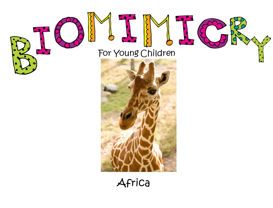STEM - Biomimicry for Young Children - Africa