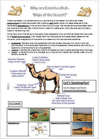 Reading Strategies - Why are camels called ships of the desert? Summarising