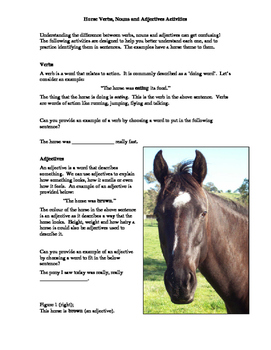 Horse Verbs, Nouns and Adjectives Activities