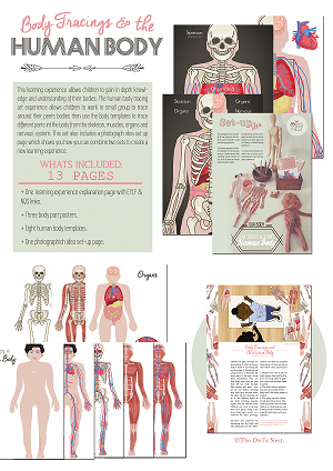 Body Tracings & Human Body