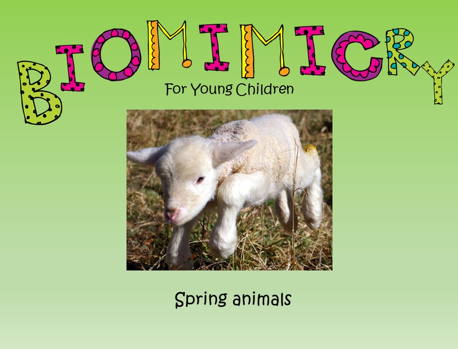 STEM - Biomimicry for Young Children - Spring Animals